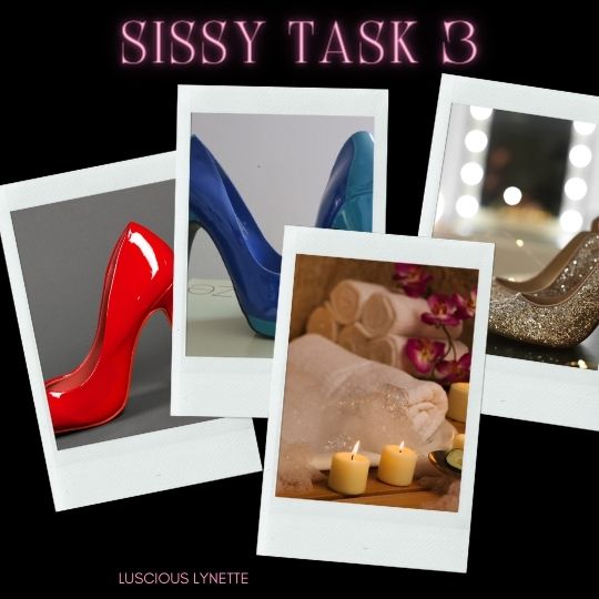 Sissy Task 3