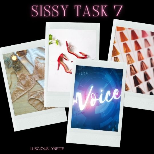 Sissy Task 7