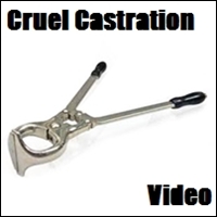 niteflirt castration