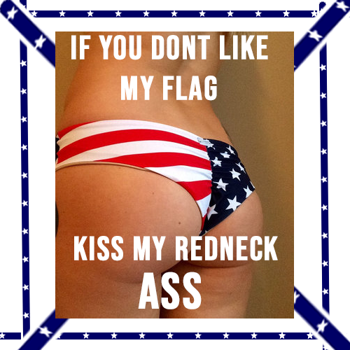 rebel flag - the south shall rise again baby just like yore lil dicks